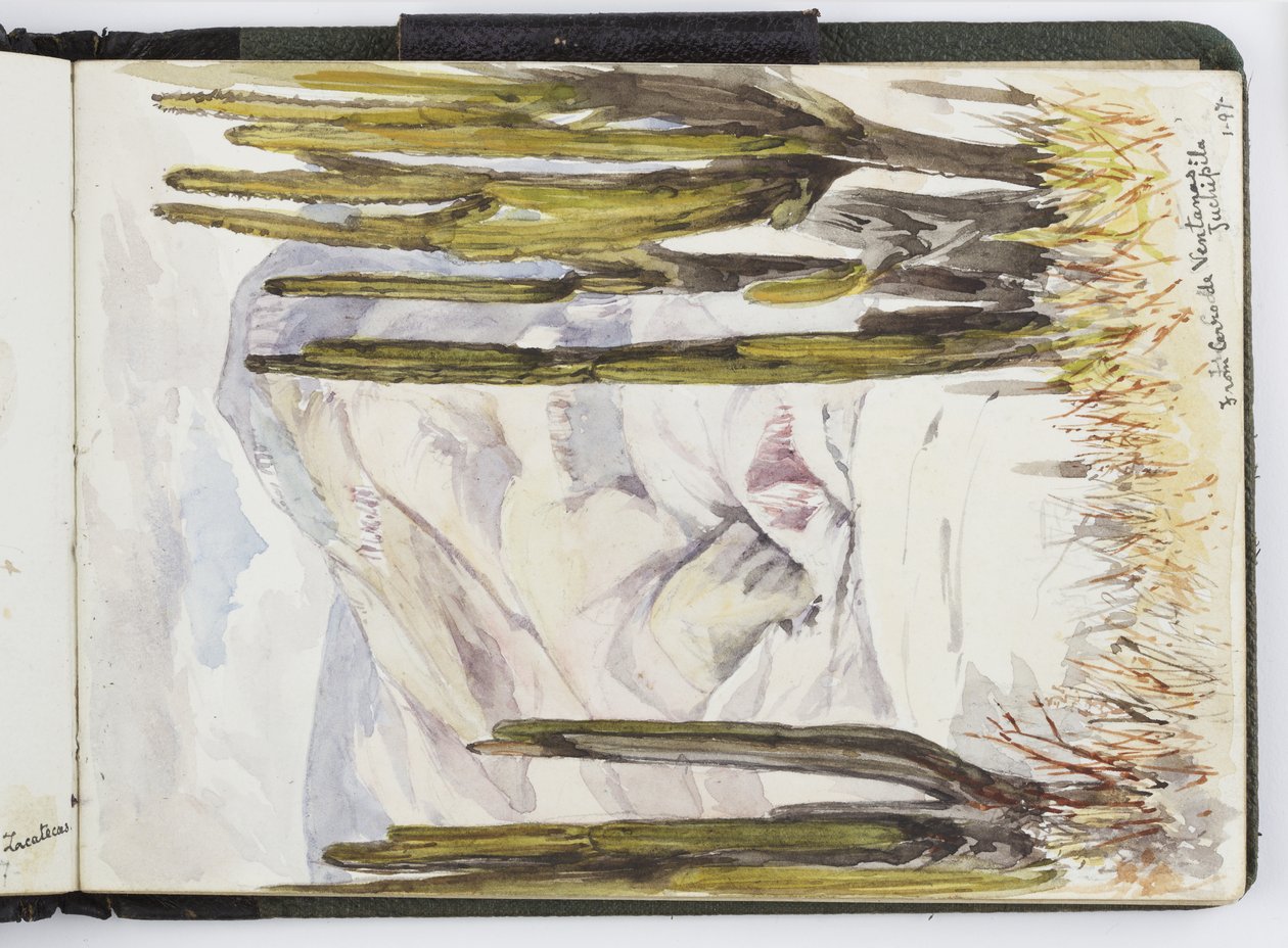Caderno de desenhos de aquarelas, desenhos e notas, México,1896-1898 (aquarela) de Adela Breton