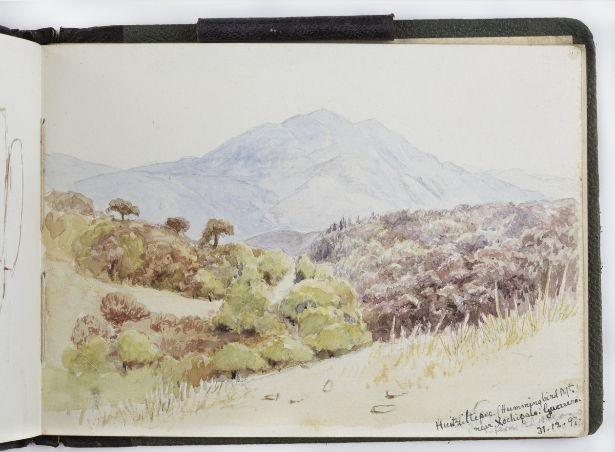 Caderno de desenhos de aquarelas, desenhos e notas, México,1896-1898 (aquarela) de Adela Breton