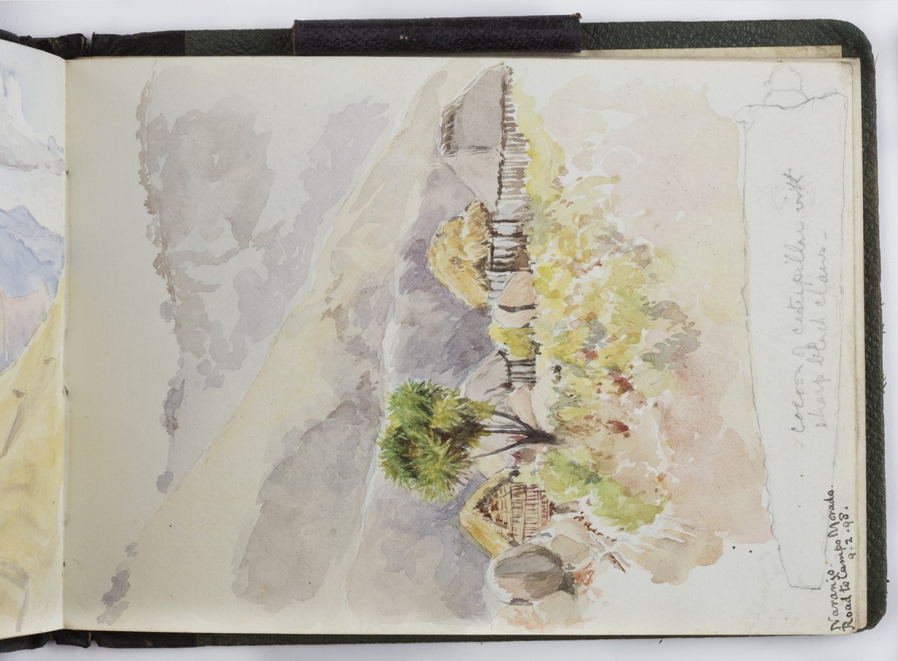 Caderno de desenhos de aquarelas, desenhos e notas, México,1896-1898 (aquarela) de Adela Breton