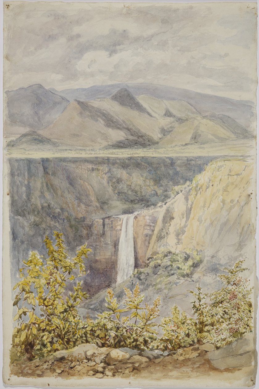 Cachoeira em Huauchinango, estado de Puebla, México de Adela Breton