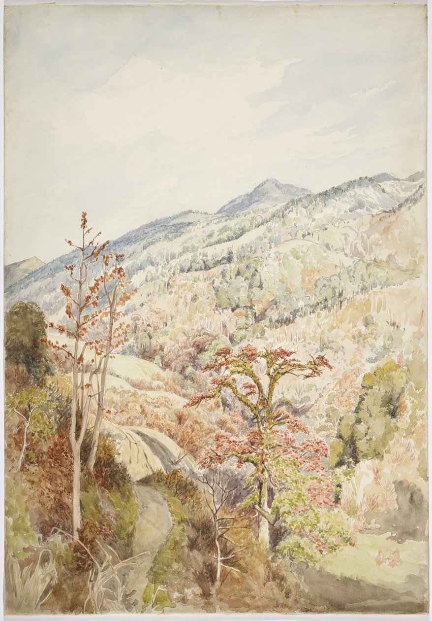 Vale arborizado - Cuetzalan, Puebla, Golfo do México (aguarela e grafite) de Adela Breton