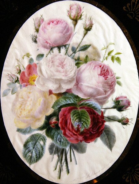 Estudo das rosas de Adele Lallemand