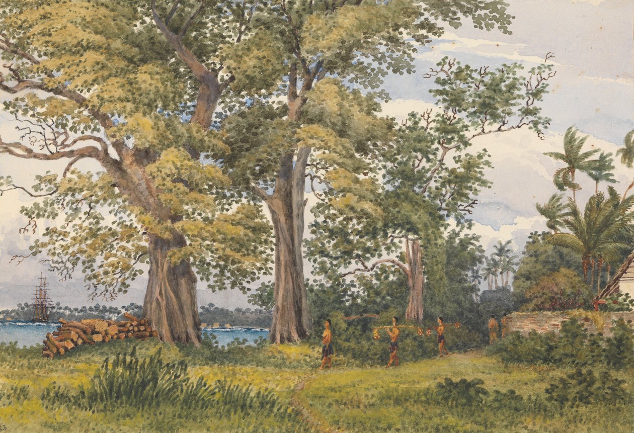 Baía de Apia, Upolu, Ilhas dos Navegadores, [Samoa] da varanda dos meus aposentos de doente, 6 de novembro de 1849 de Admiral Sir Edward Gennys Fanshawe
