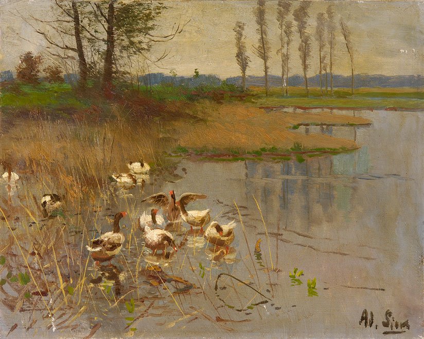 Seascape com ganso de Adolf Lins