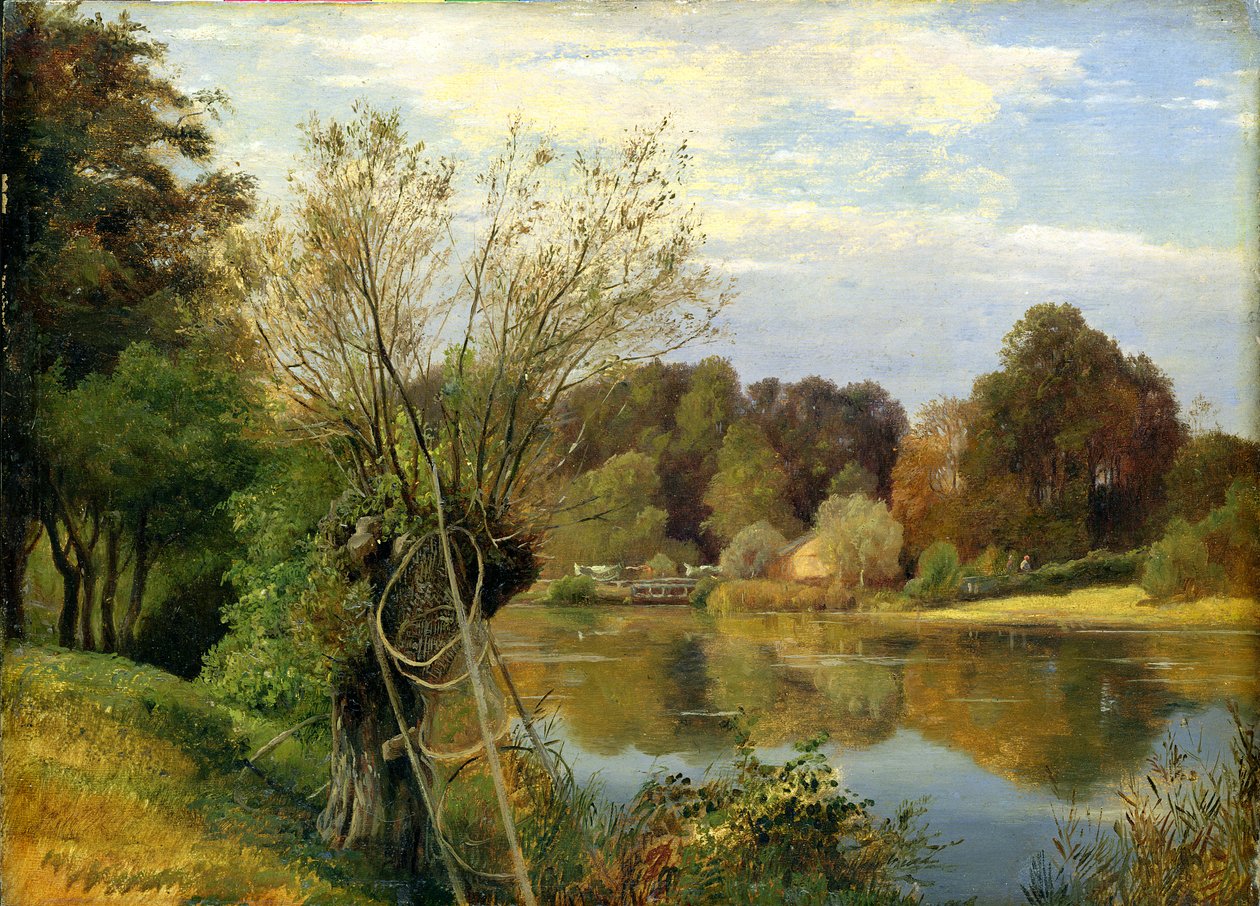 Perto do Aumuhle, c.1830 (óleo sobre papel montado no cartão) de Adolf Vollmer