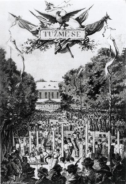 Tuzmês" (o esforço), primeira reunião dos Sokols em Praga de Adolf (after) Liebscher