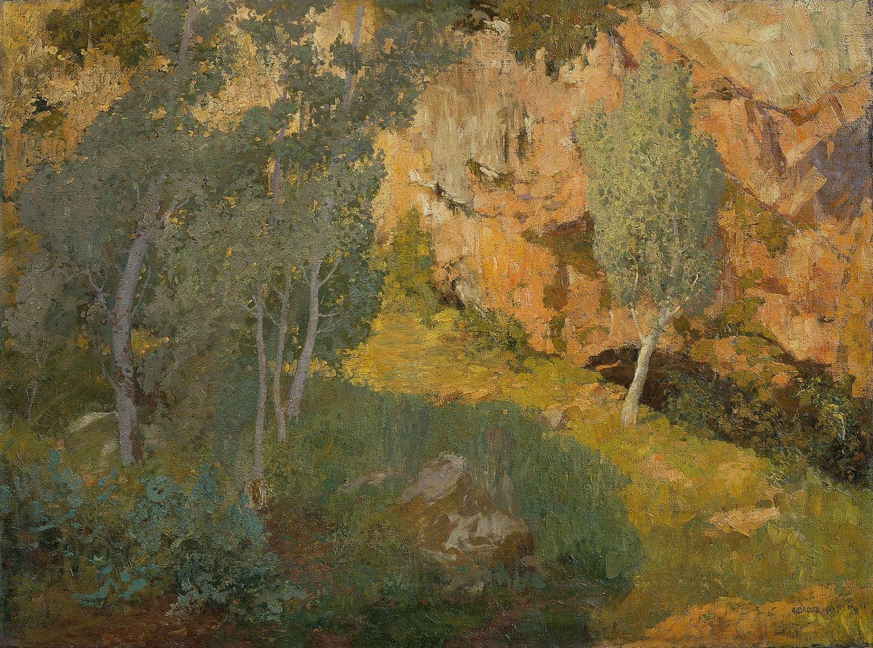 Vale rochoso ensolarado de Adolf Gross