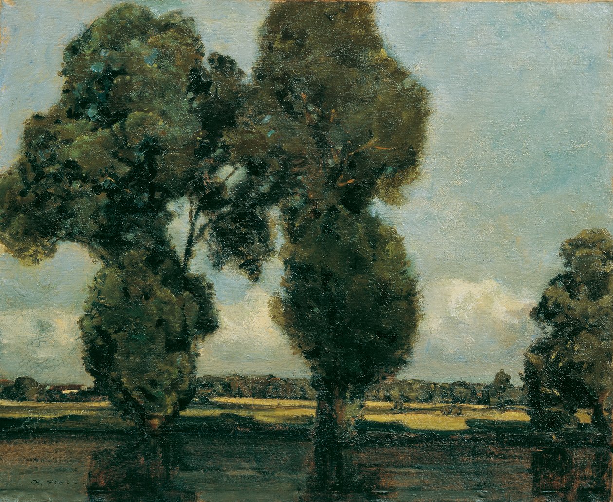 Choupos de prata de Adolf Holzel