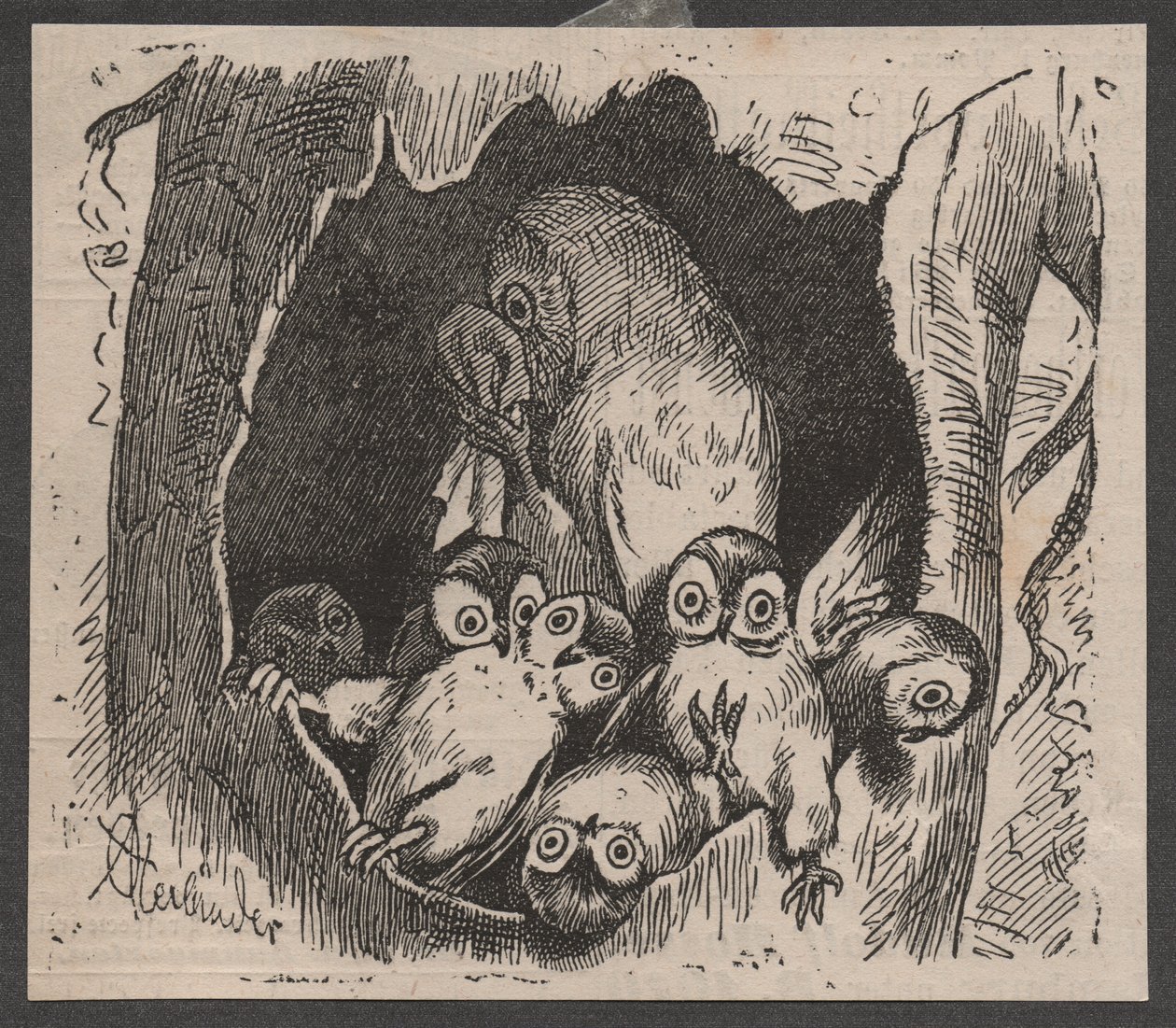 Coruja com crias, c. 1890 (impressão rápida) de Adolf Oberländer