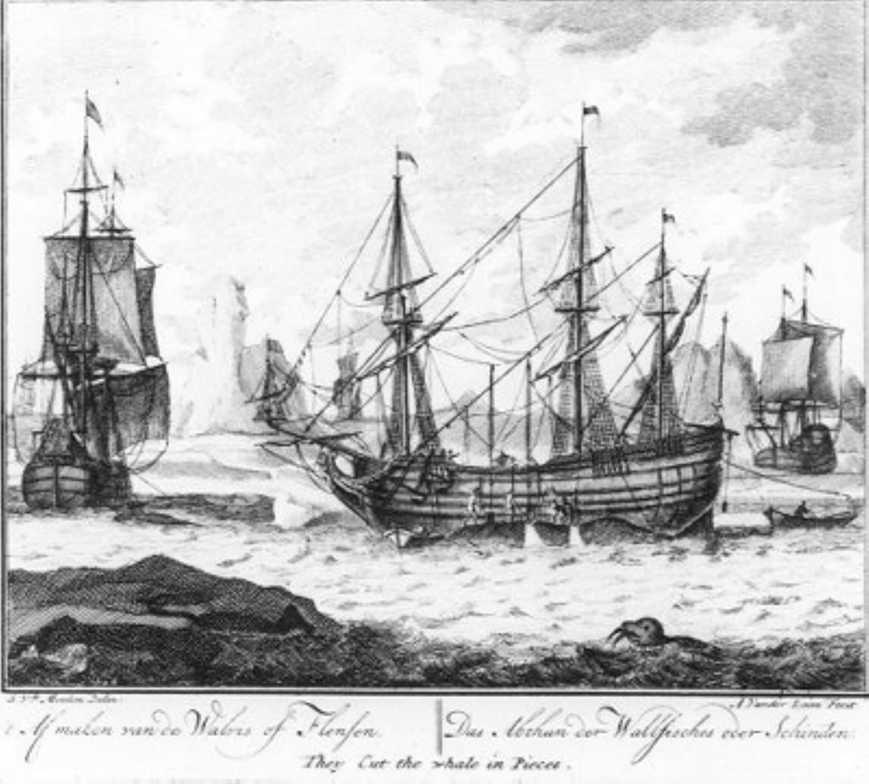 «A matança da baleia ou a esfola» (n.º 8 da série sobre a caça à baleia) de Adolf van der Laan