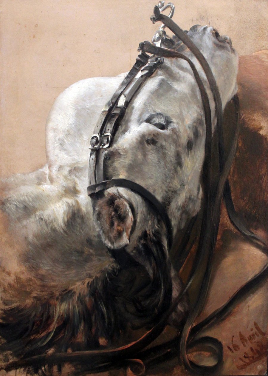 Pferdestudie de Adolph Menzel