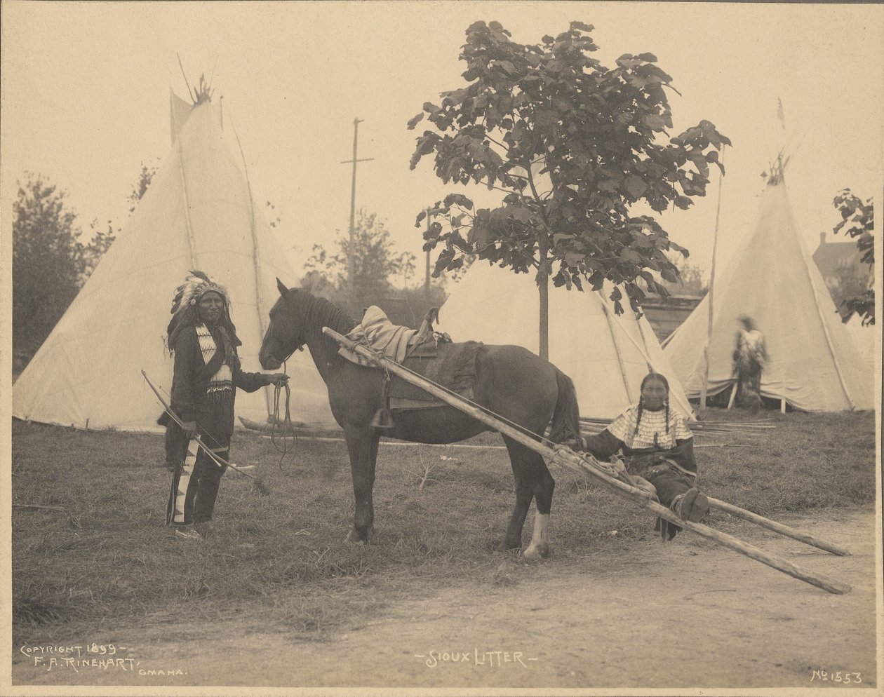 Ninhada Sioux de Adolph F. Muhr