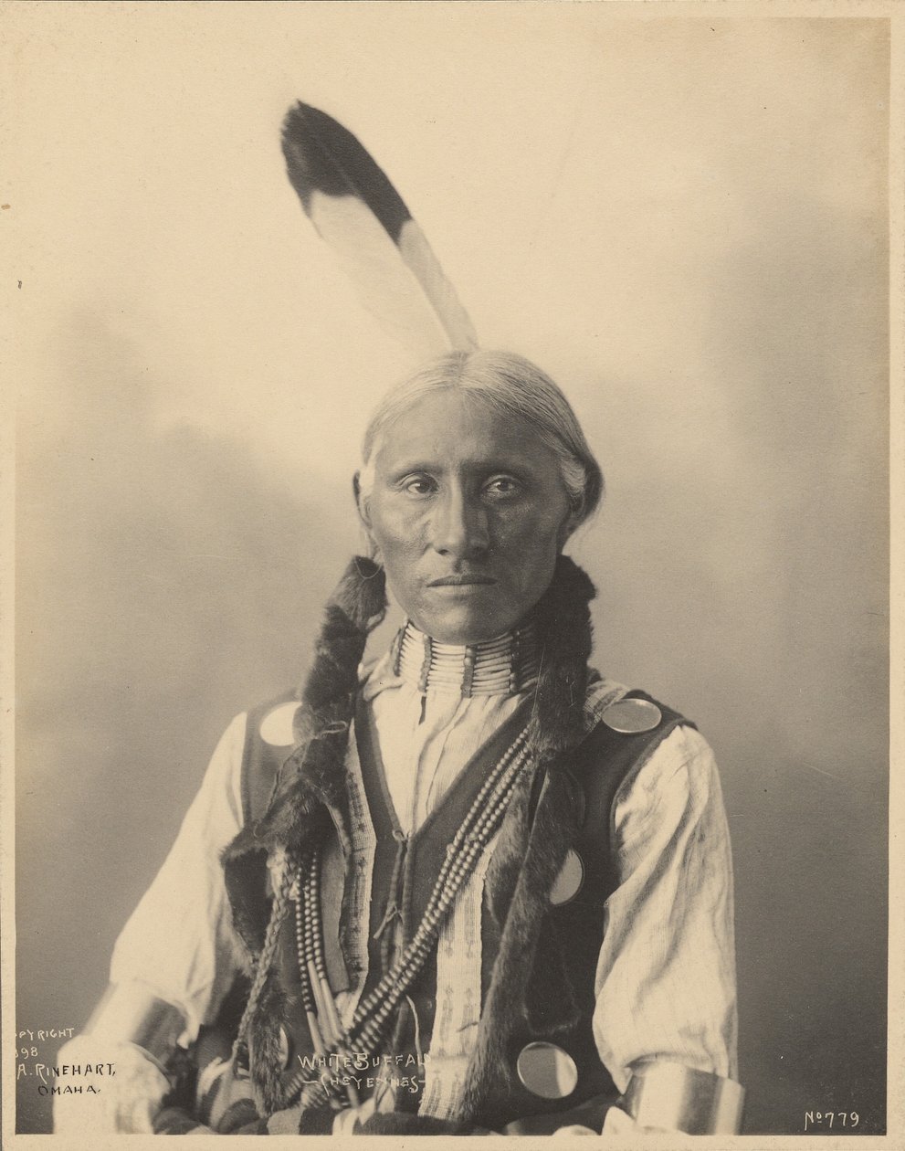 Búfalo Branco, Cheyennes de Adolph F. Muhr
