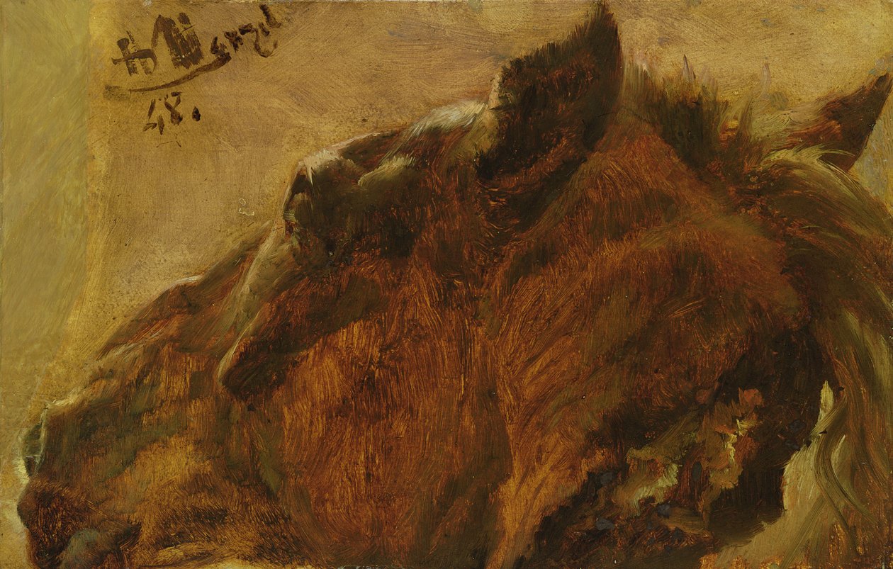 Cabeça de um cavalo morto, 1848 (óleo sobre papel montado sobre tela) de Adolph Menzel