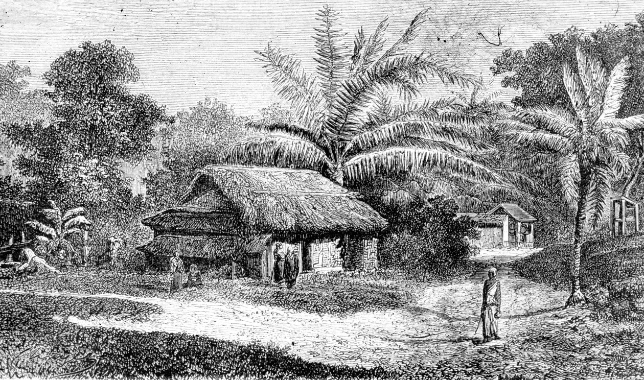 Aldeia no vale de Colombo, Sri Lanka (gravura) de Adolph Hermann & Robert (after) Schlagintweit