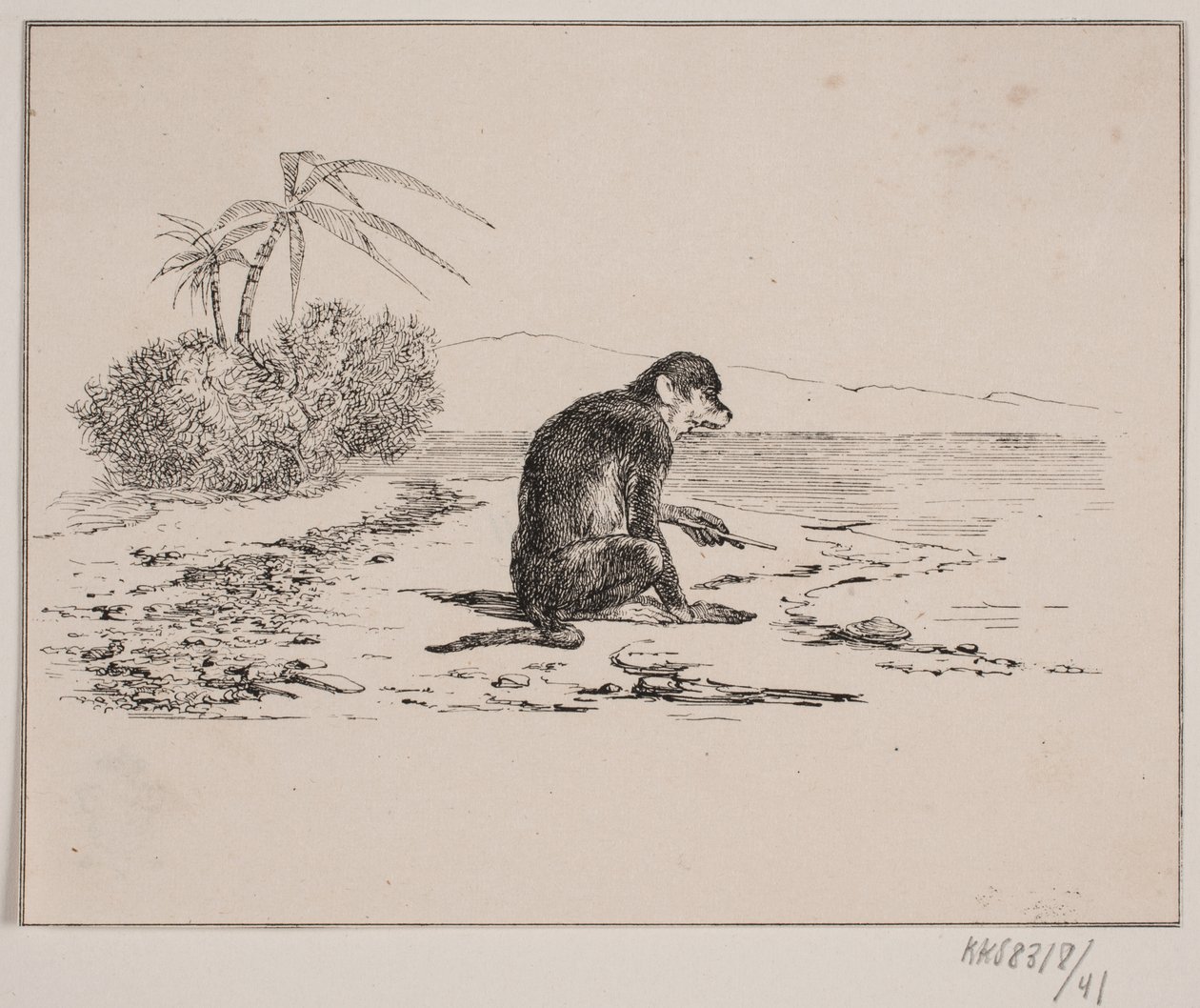 O gato macaco de Johan Adolph Kittendorff