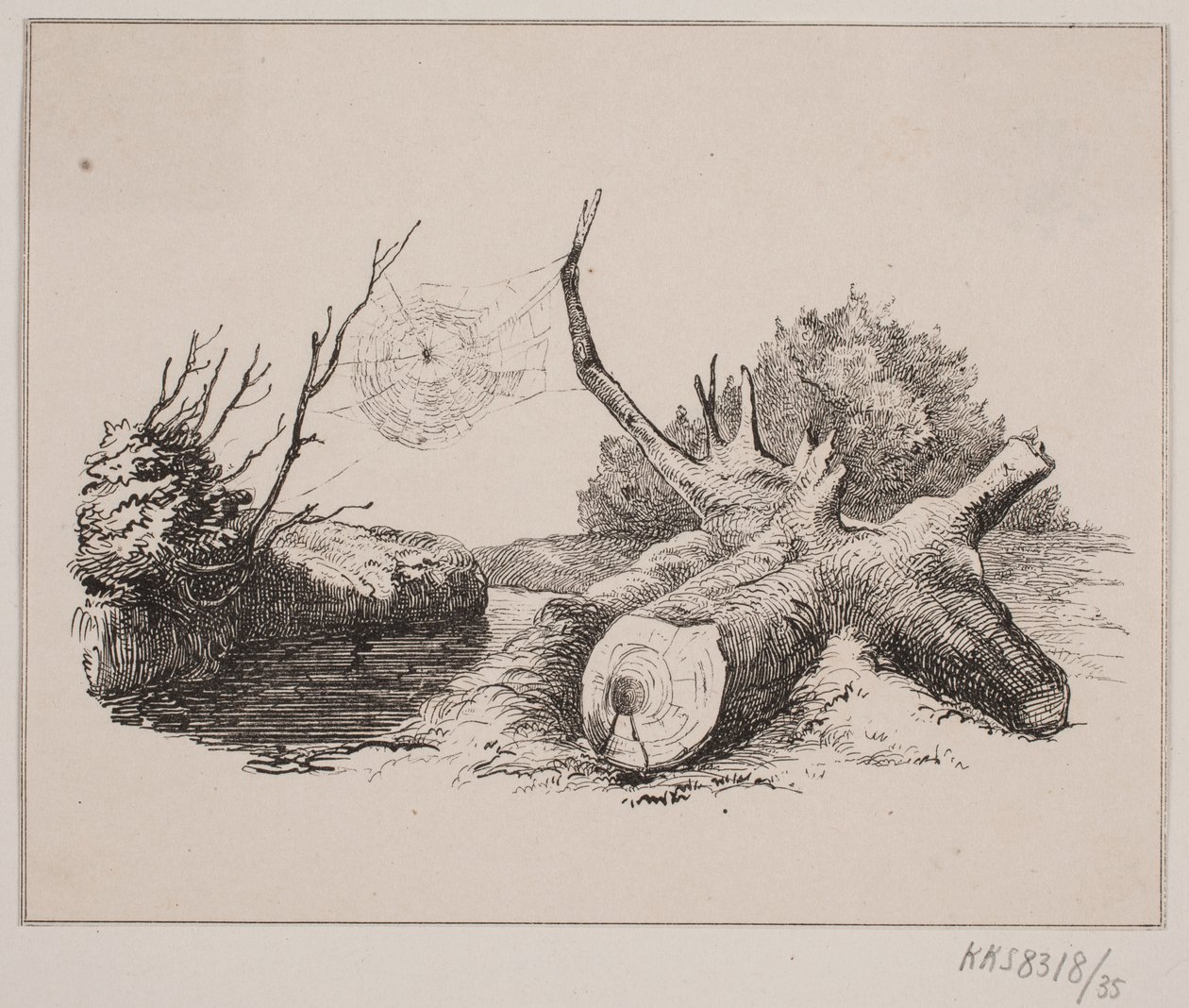 Ederkoppen de Johan Adolph Kittendorff