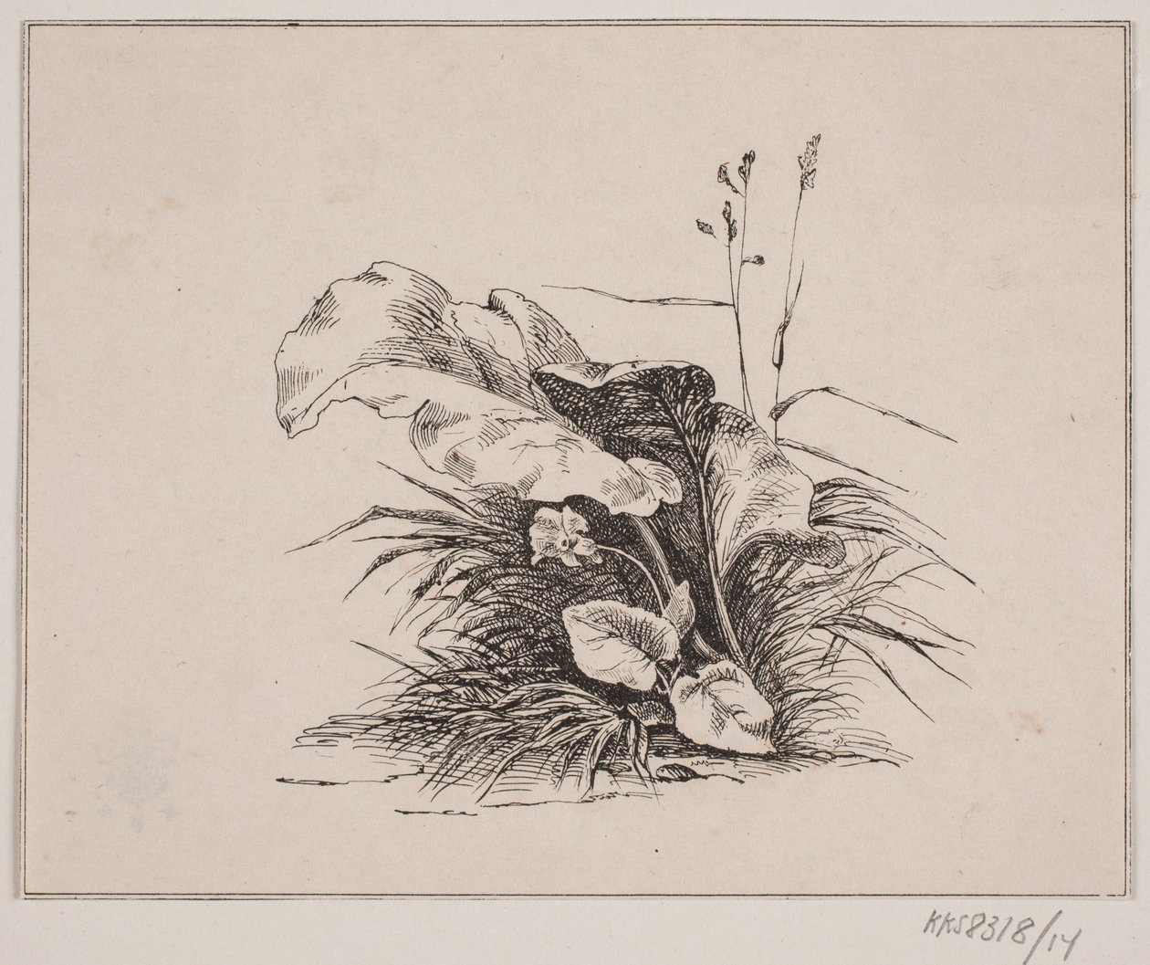 O violino de Johan Adolph Kittendorff