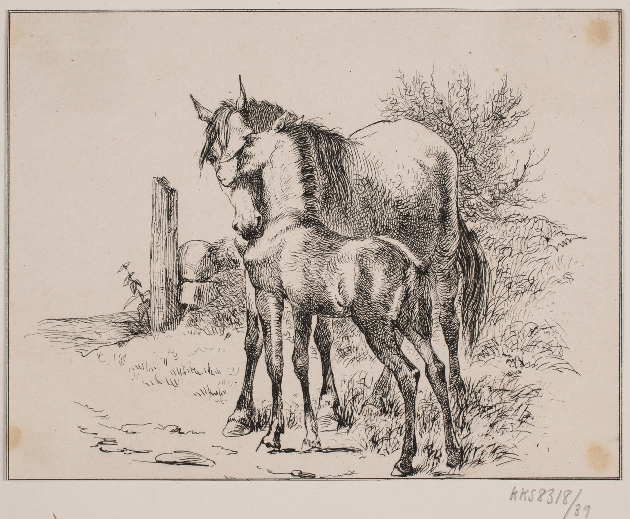 O cavalo e o potro de Johan Adolph Kittendorff