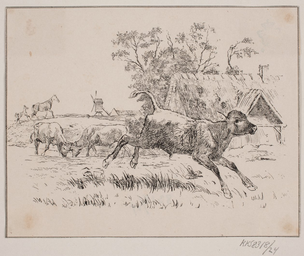 O veado de Johan Adolph Kittendorff