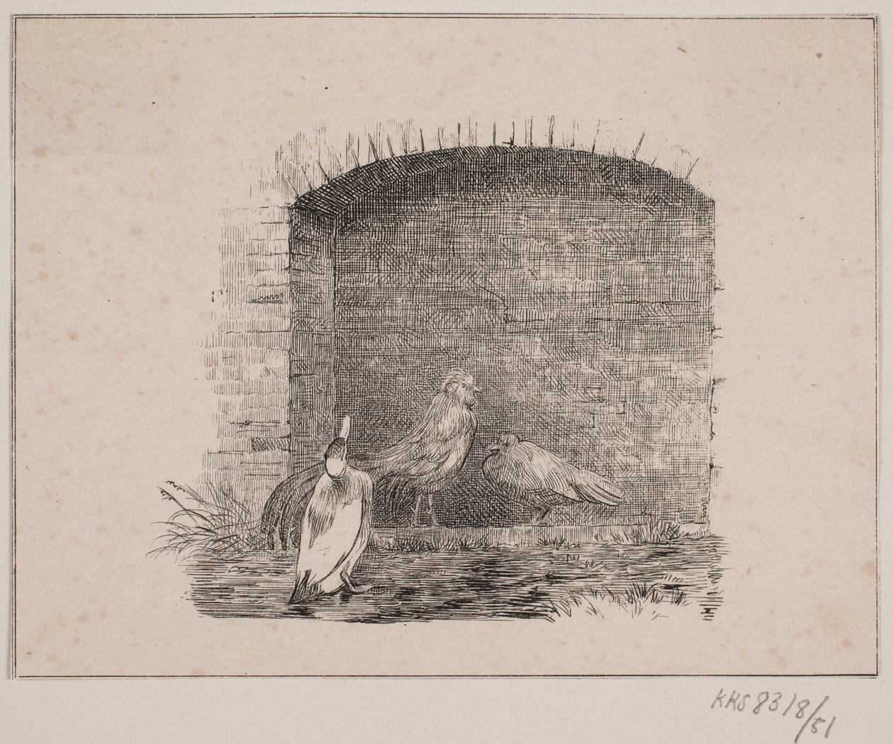 As galinhas e os patos de Johan Adolph Kittendorff