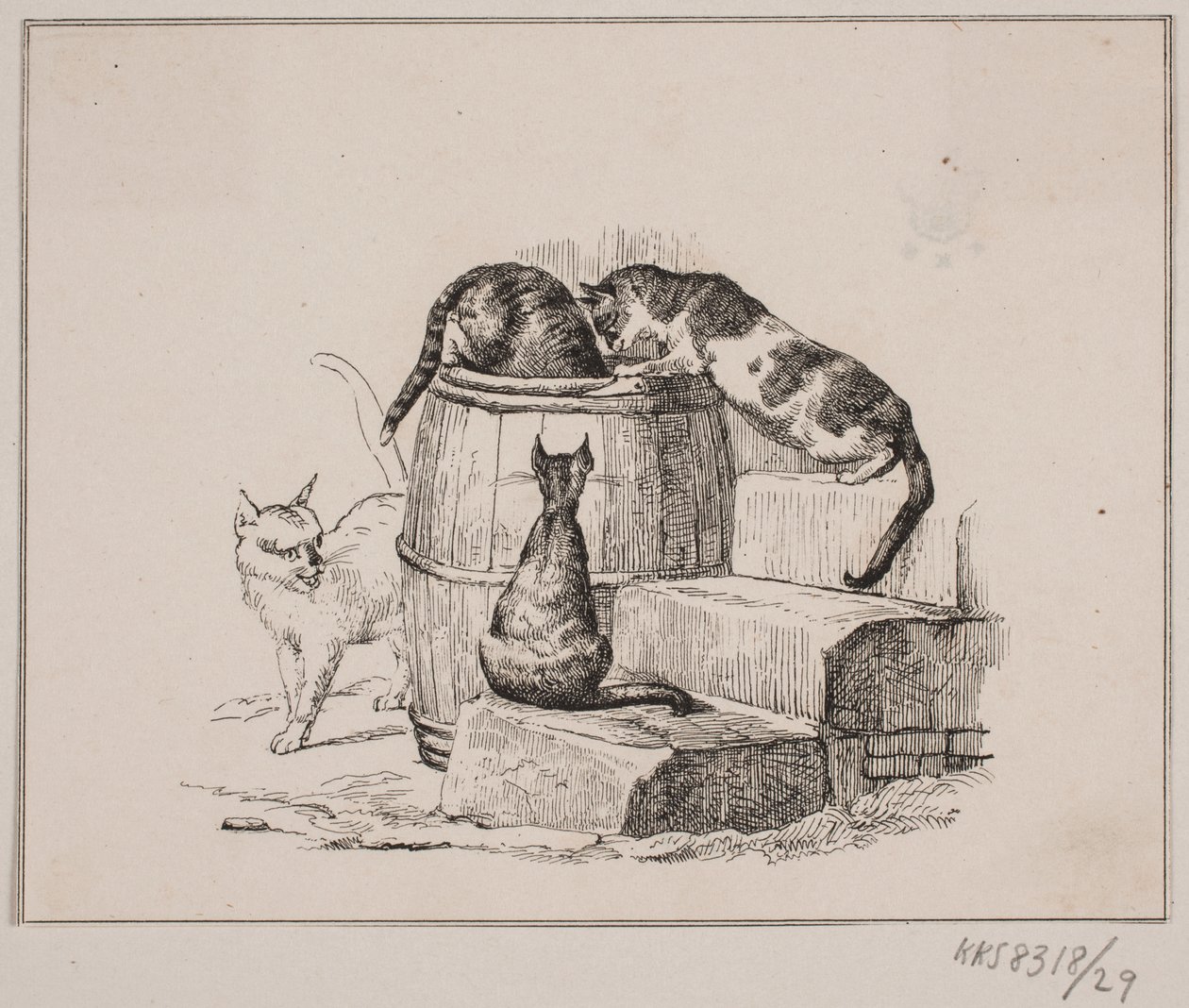 Os gatos de Johan Adolph Kittendorff