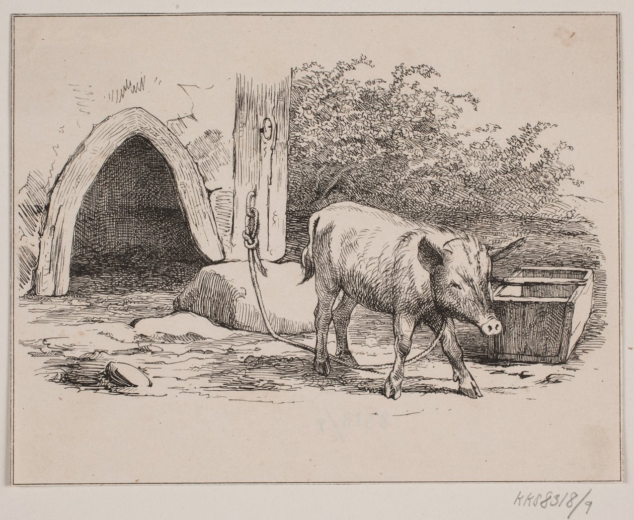 O porco da cadeia de Johan Adolph Kittendorff