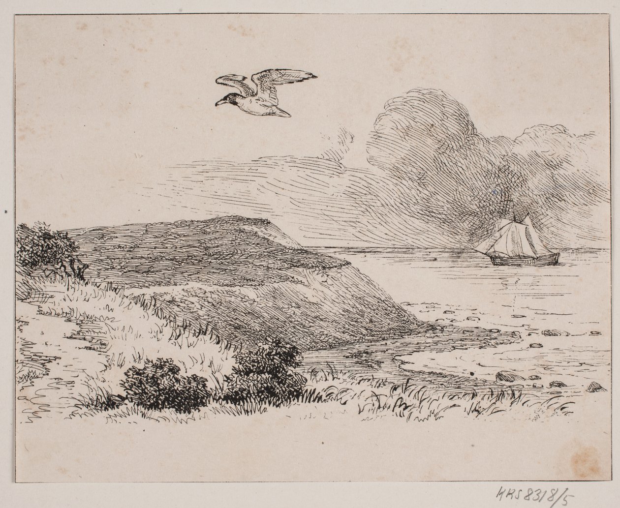 A gaivota de Johan Adolph Kittendorff