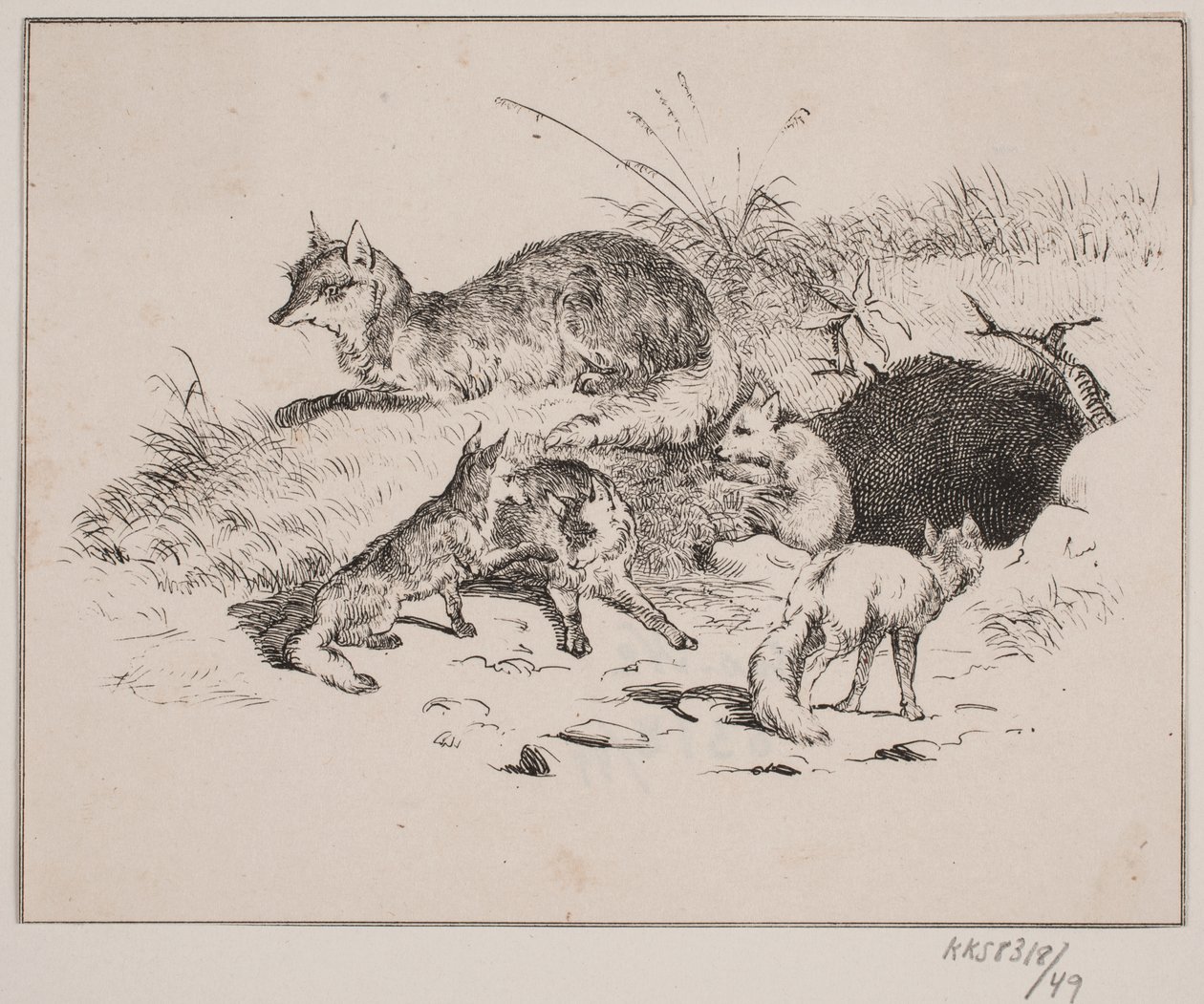 A Raposa de Johan Adolph Kittendorff