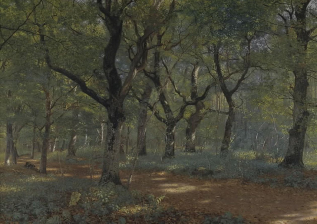 Na floresta de Adolph Larsen