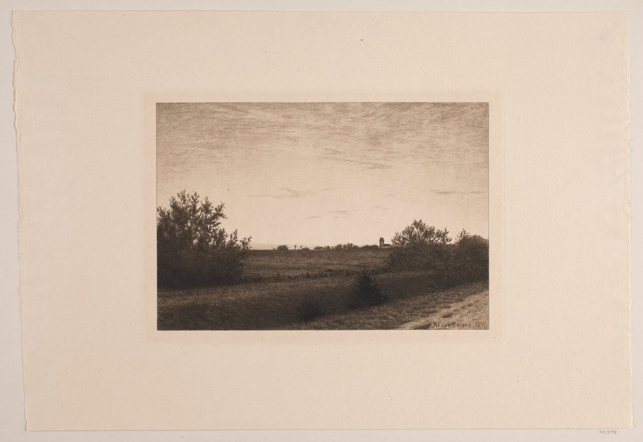 Noite de verão em Rødovre de Adolph Larsen