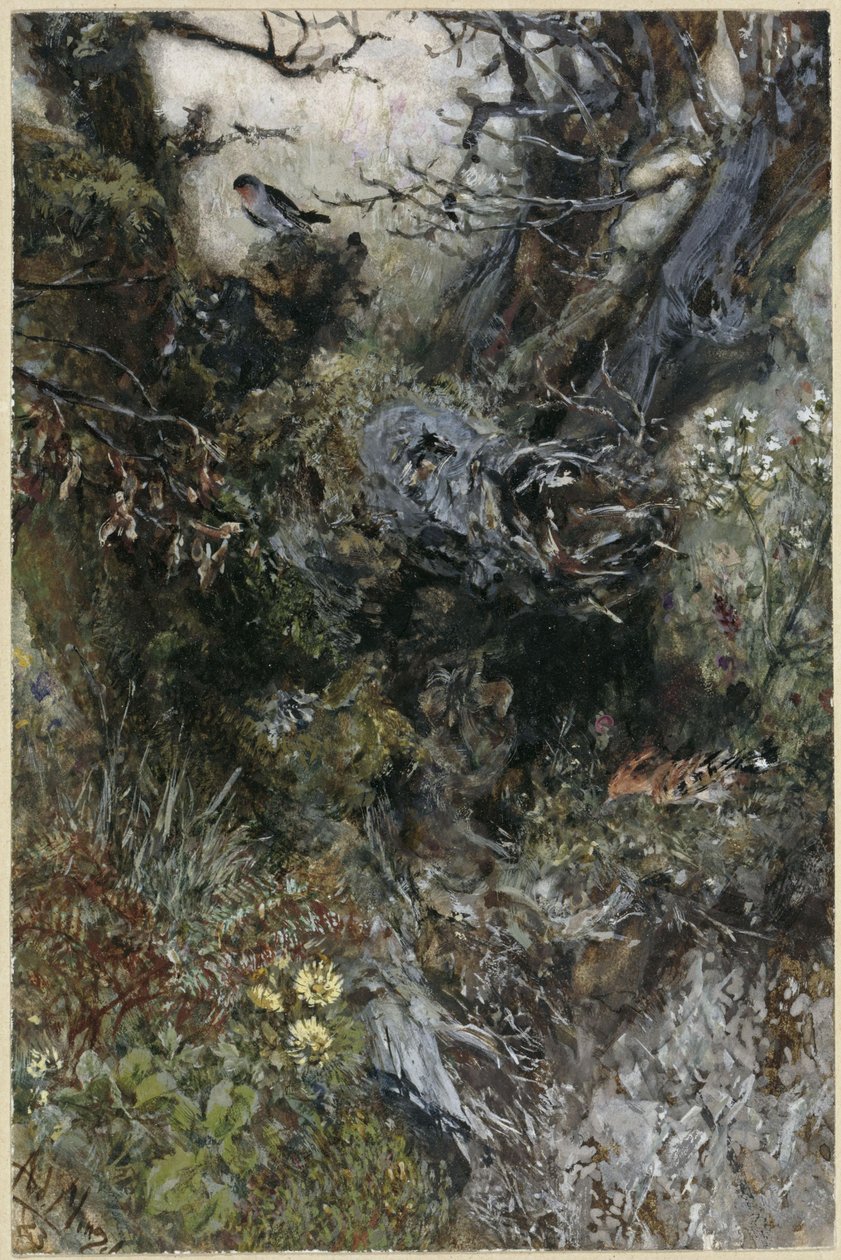 Cepo de árvore com pisco-de-peito-ruivo e poupa. Do «Álbum infantil» de Adolph Menzel
