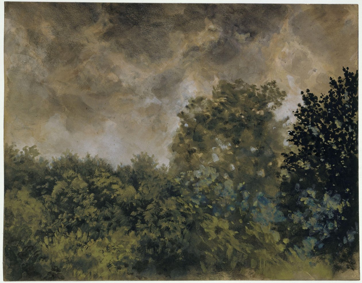 Vista sobre um bosque de árvores de folha caduca de Adolph Menzel