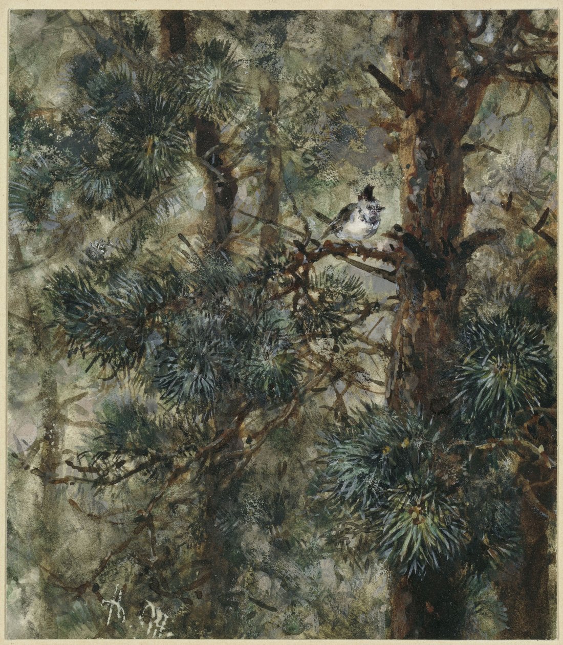 O chapim-de-capuz nos ramos do pinheiro. Do «Álbum das Crianças» de Adolph Menzel