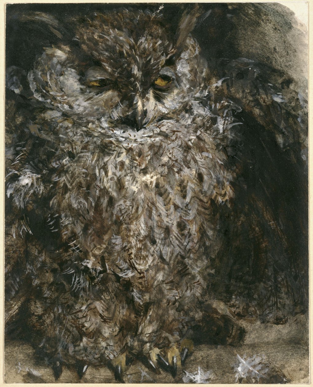 O mocho-pequeno. Do "Álbum Infantil" de Adolph Menzel