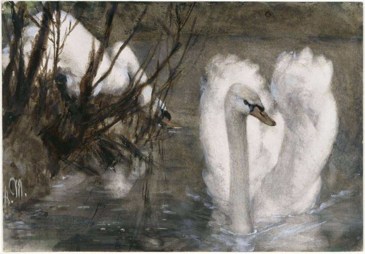 Os dois cisnes. Do «Álbum infantil» de Adolph Menzel