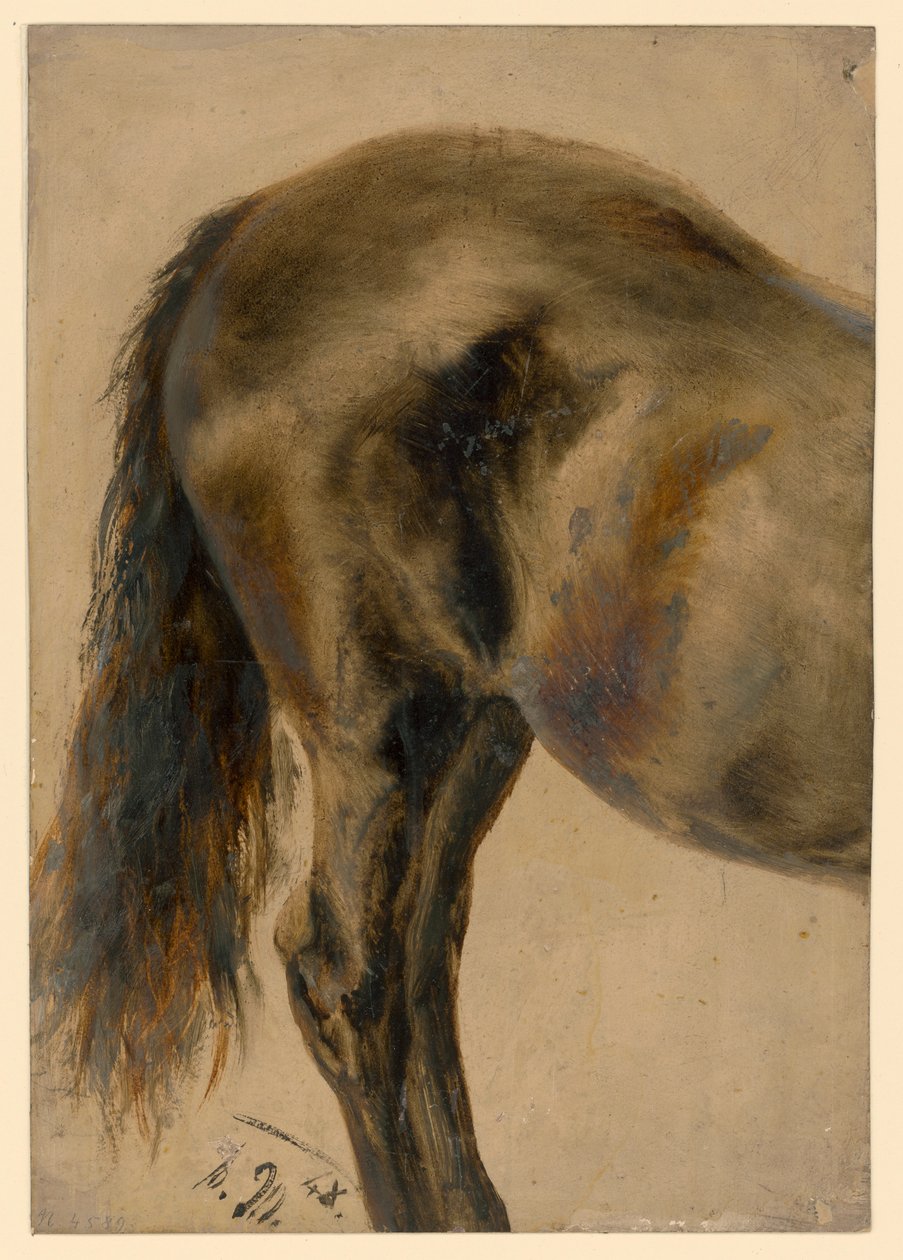 Parte traseira de um cavalo vista de perfil de Adolph Menzel