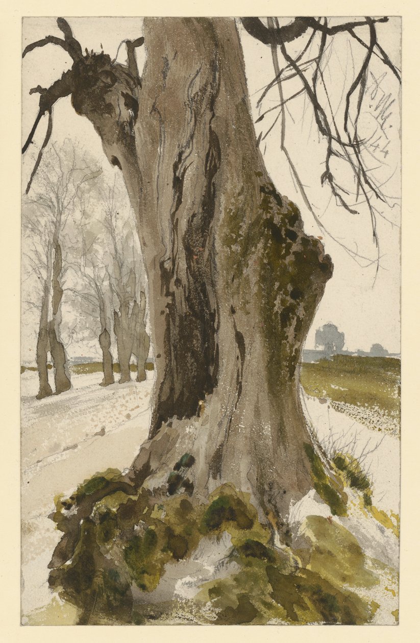 Cepo de árvore oco, com um grupo de árvores ao fundo de Adolph Menzel