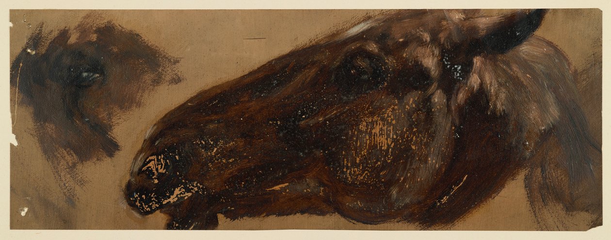 Cabeça de um cavalo virada para a esquerda, com a zona dos olhos repetida de Adolph Menzel