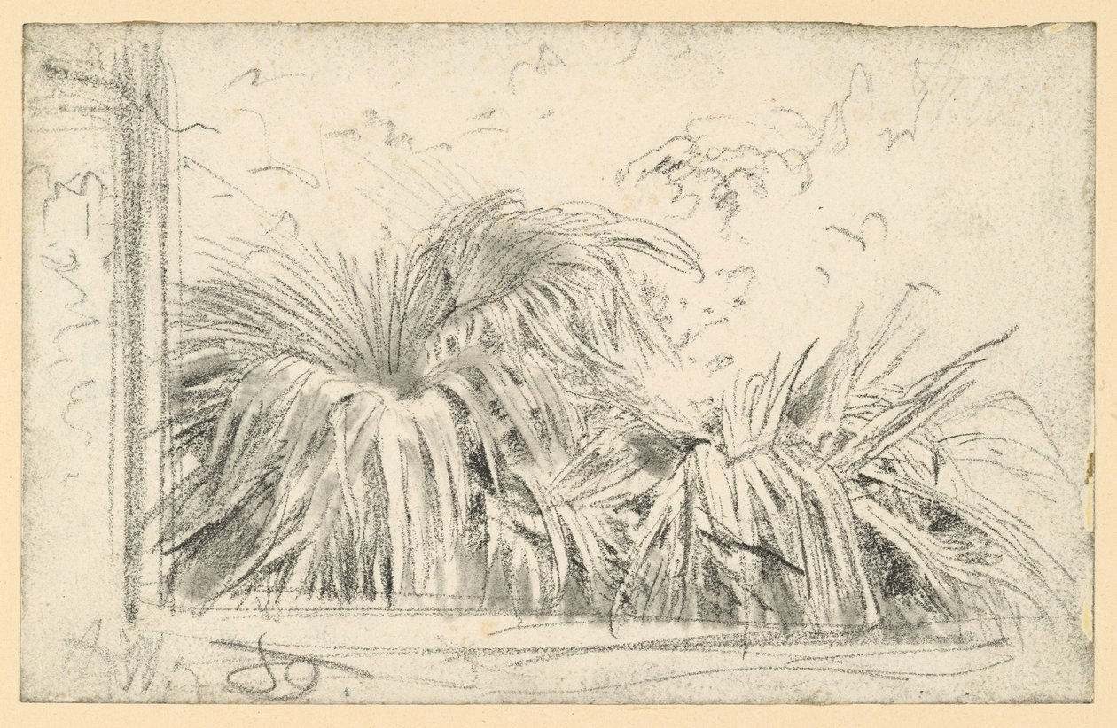 Ramos de palmeira no caixilho da janela de Adolph Menzel