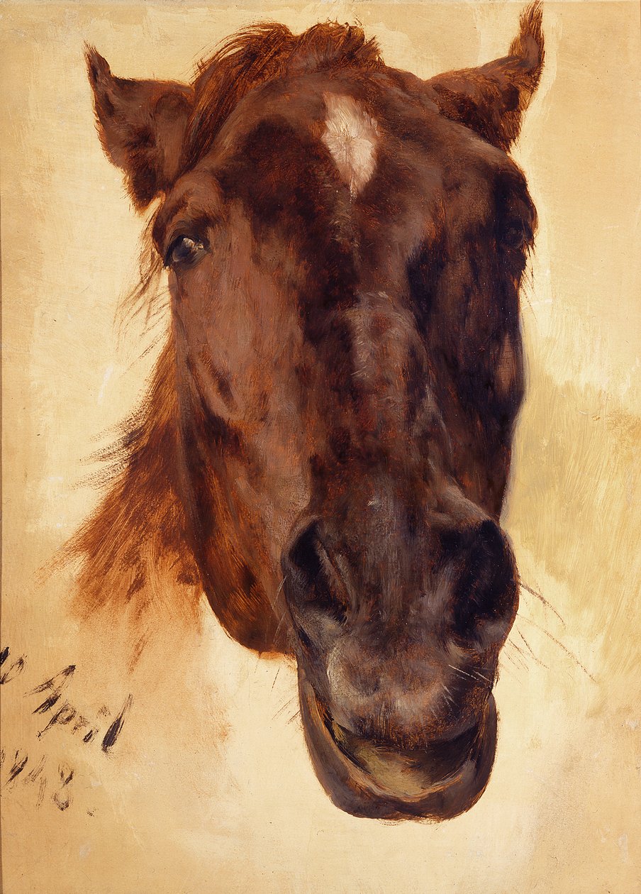 Cabeça de cavalo de Adolph Menzel