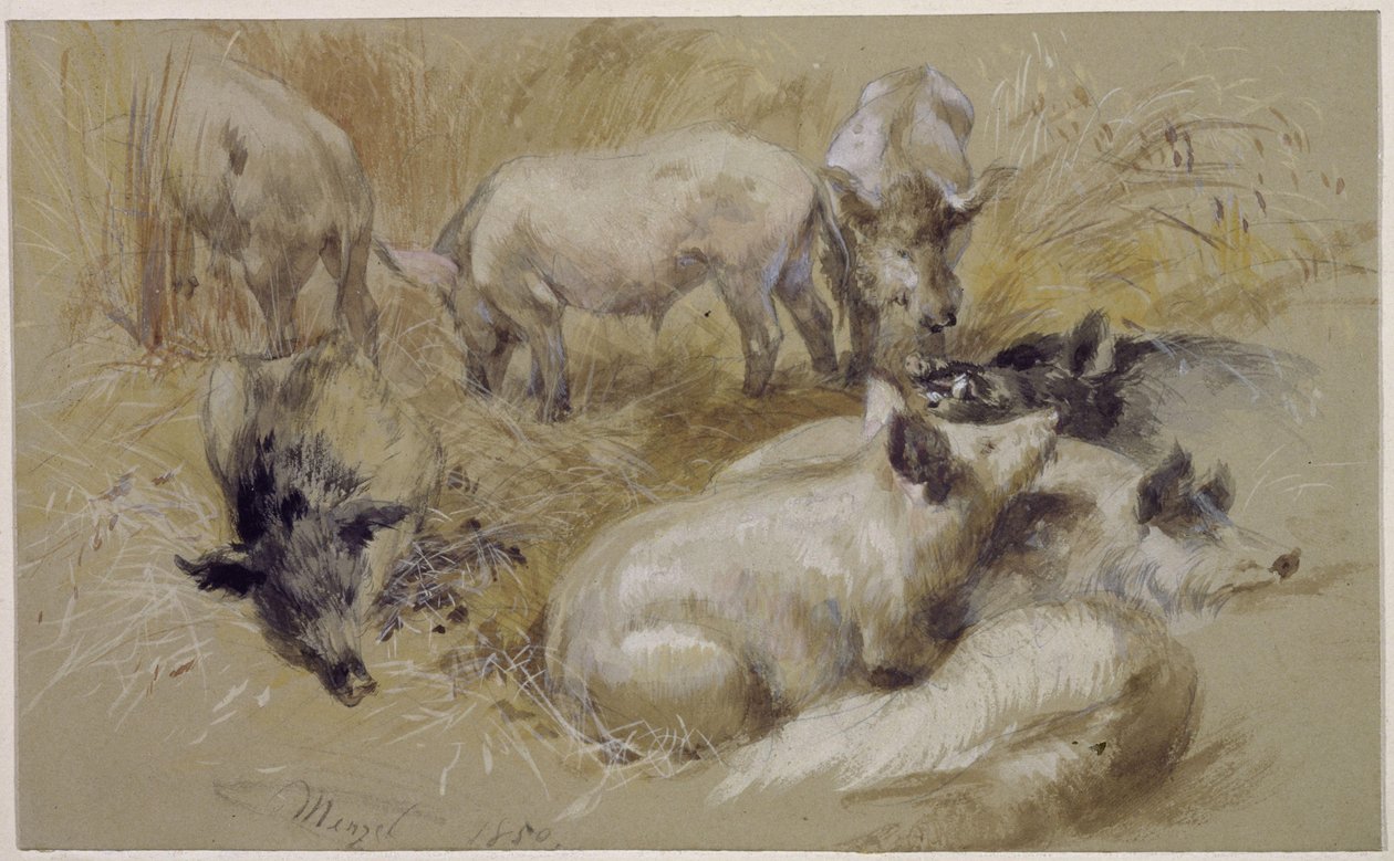 Porcos num campo de trigo de Adolph Menzel