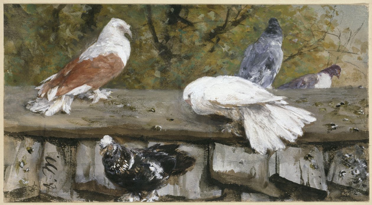 Pombos num telhado de madeira. Do “Álbum para crianças” de Adolph Menzel