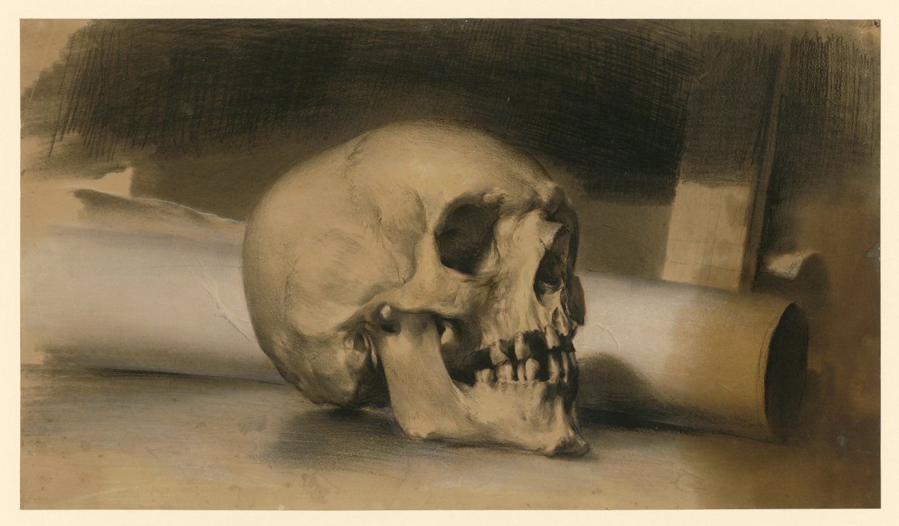 crânio humano virado para a direita, com um rolo de papel atrás de Adolph Menzel