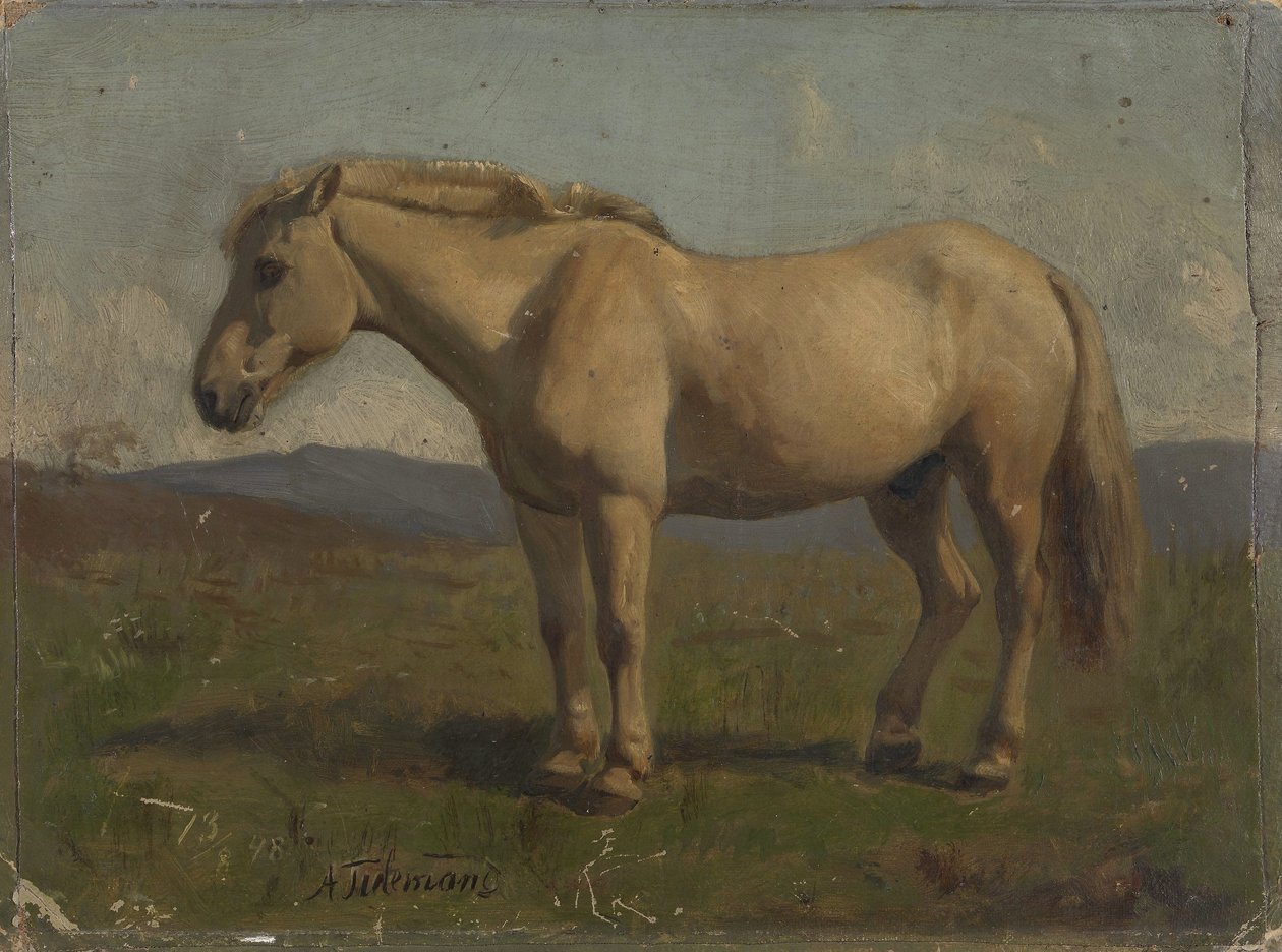 Um cavalo castanho-escuro de Adolph Tidemand
