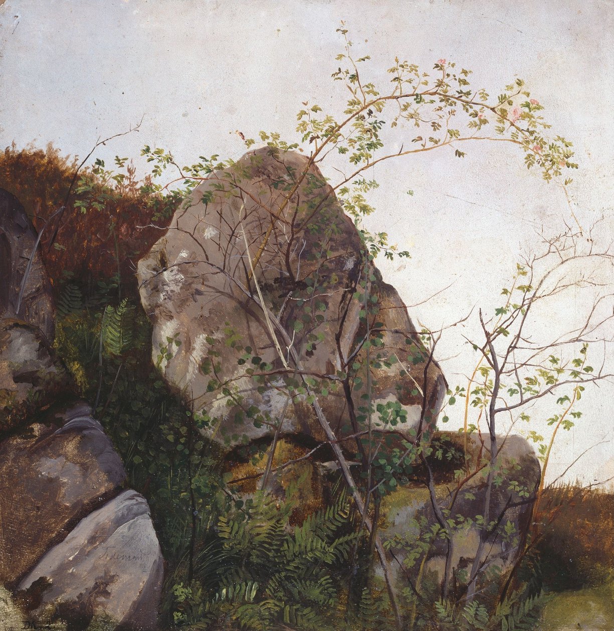 Roseiras-bravas em flor e fetos de Adolph Tidemand