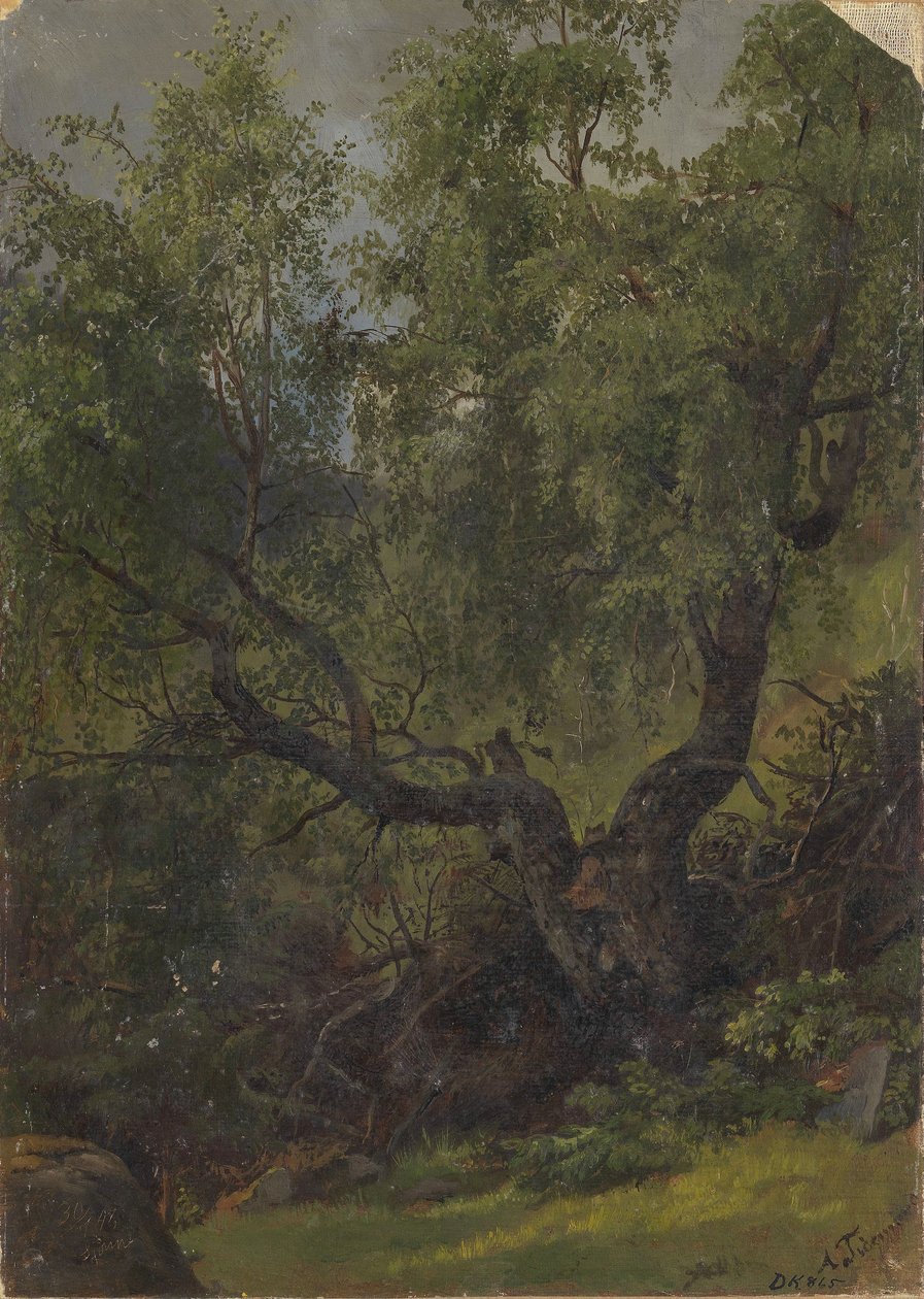 Estudo de floresta de Numedal de Adolph Tidemand