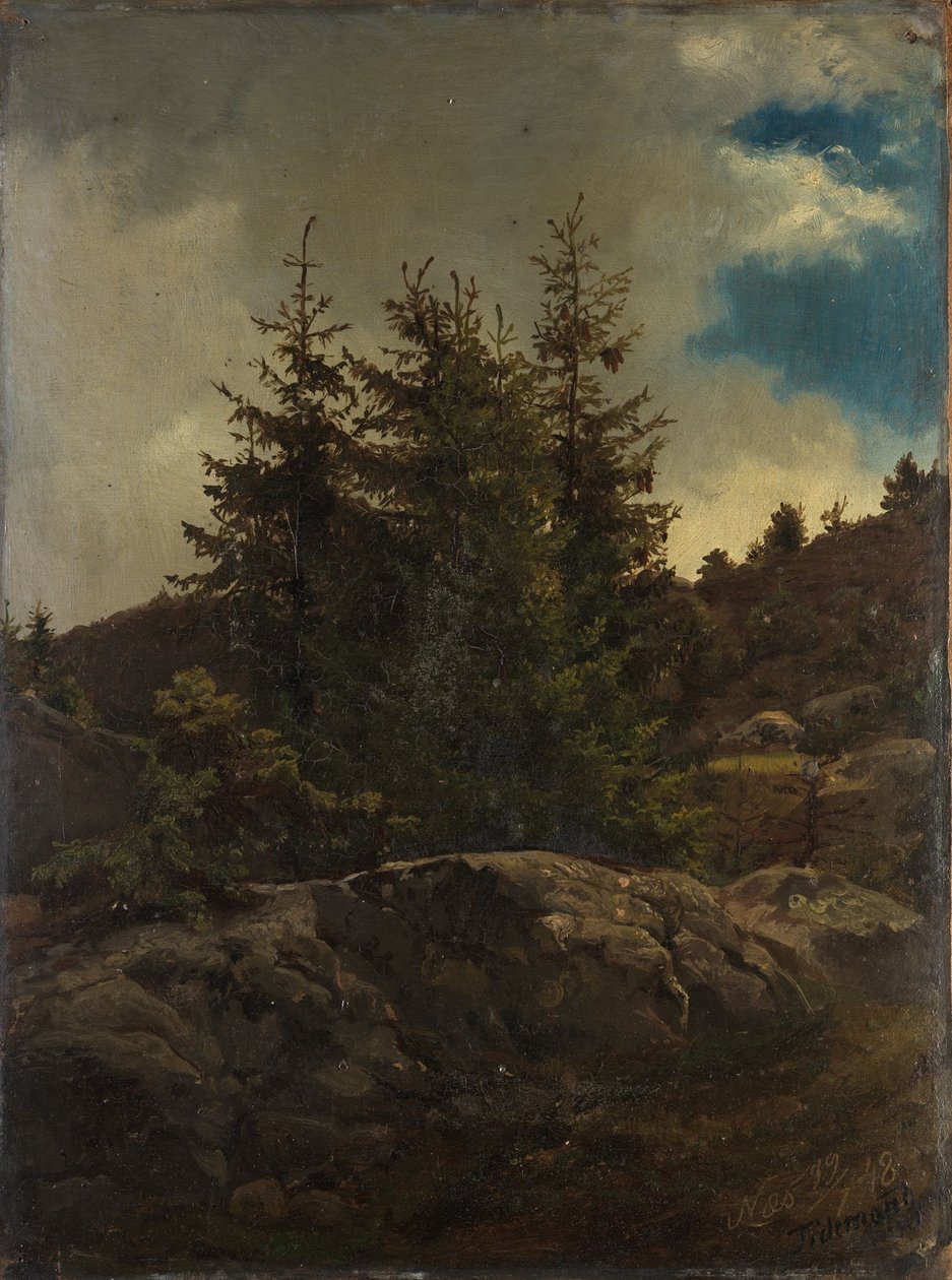 Paisagem de Nes em Hallingdal de Adolph Tidemand
