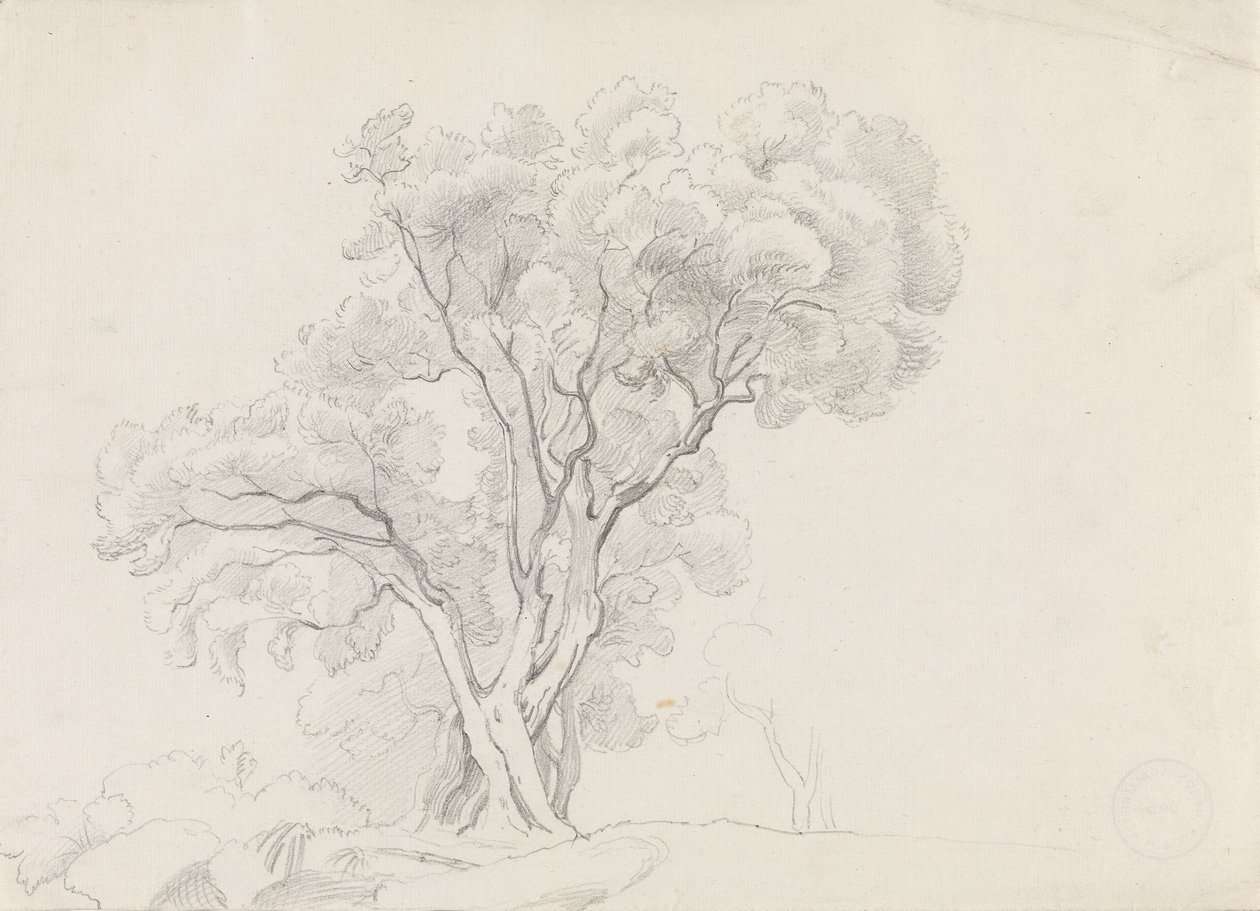 Árvores de folha caduca de Adolph Tidemand