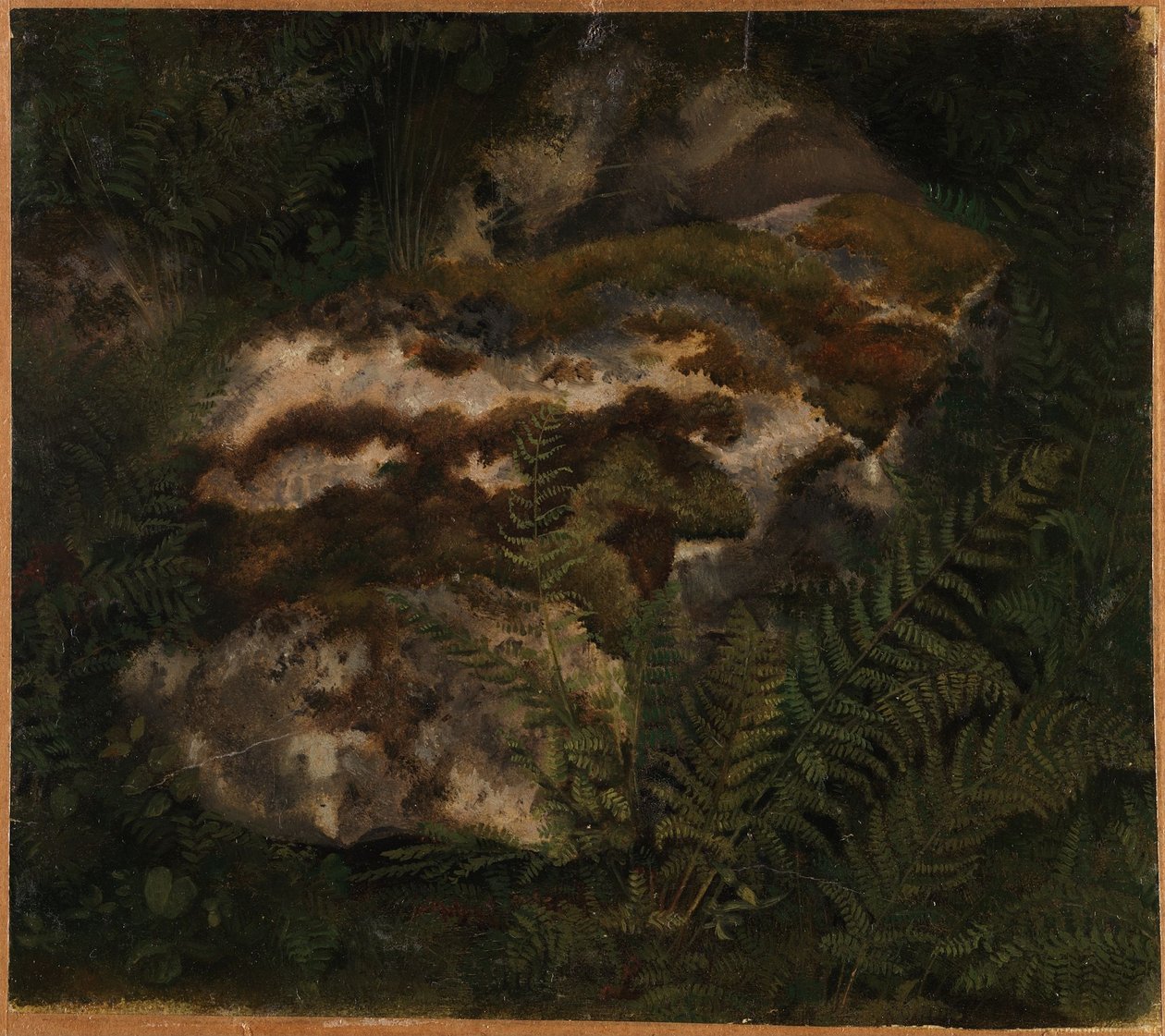 Estudo de uma pedra coberta de musgo e fetos de Adolph Tidemand